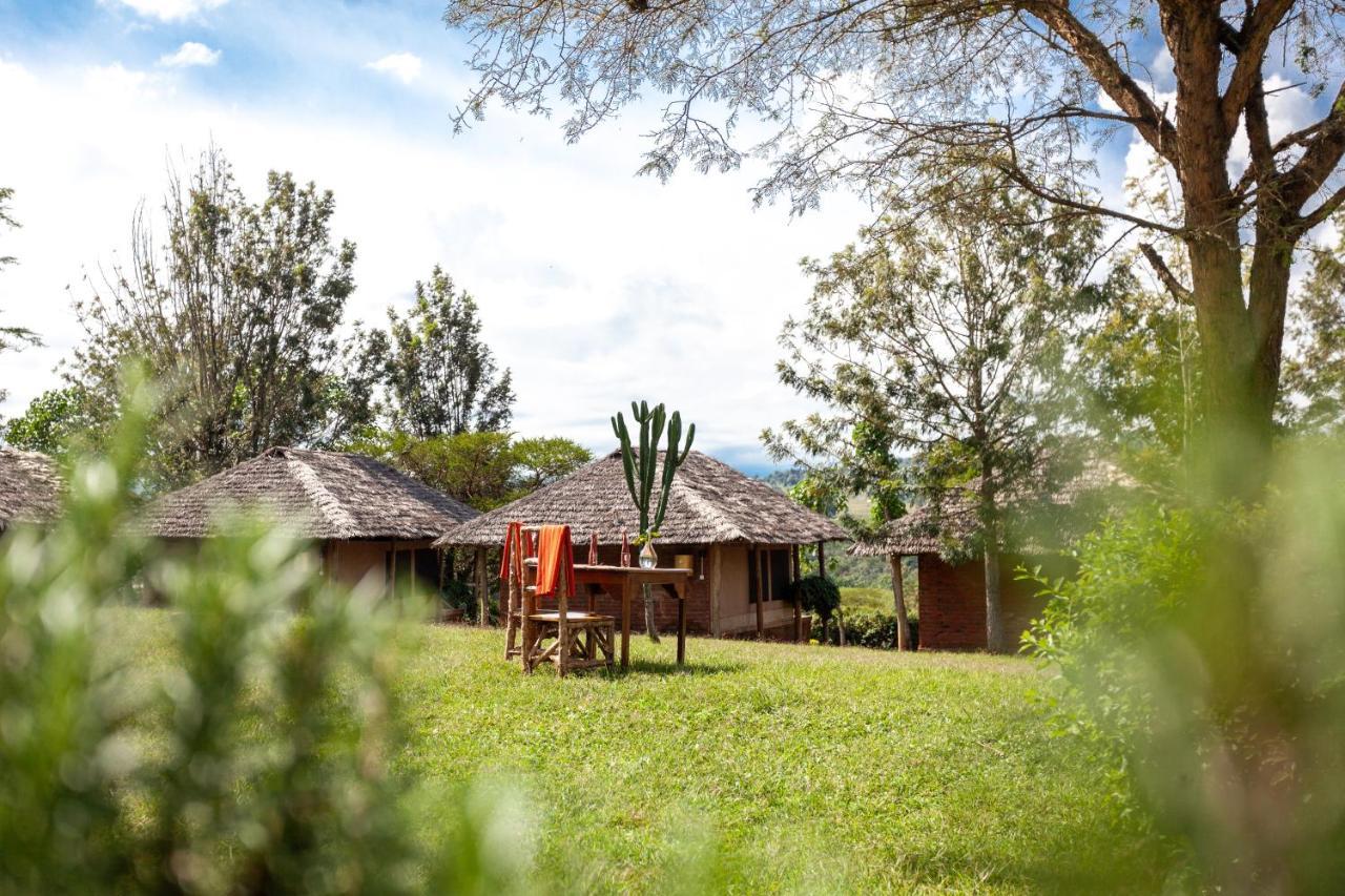 Karatu Tented Lodge Zewnętrze zdjęcie